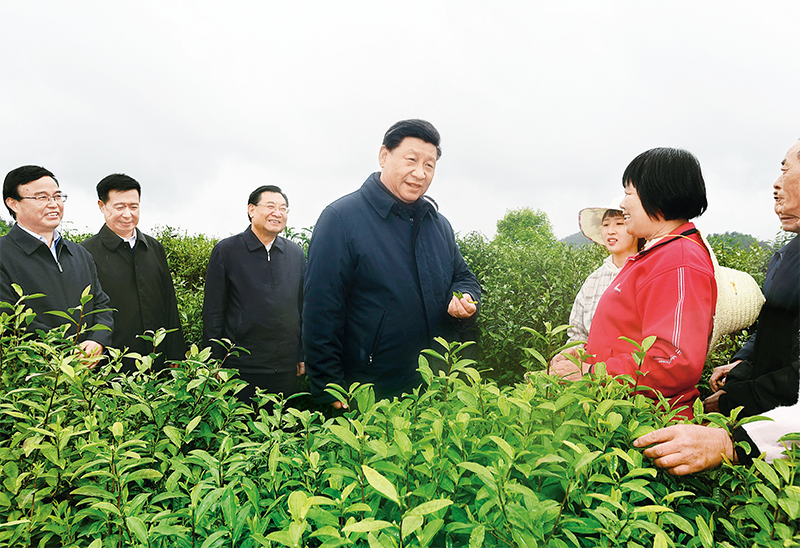 2020年4月20日至23日，中共中央总书记、国家主席、中央军委主席习近平在陕西考察。这是4月21日，习近平在安康市平利县老县镇蒋家坪村女娲凤凰茶业现代示范园区，同茶农们亲切交谈。 新华社记者 谢环驰/摄