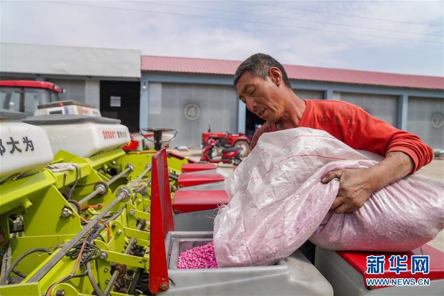 （在习近平新时代中国特色社会主义思想指引下——新时代新作为新篇章·习近平总书记关切事·图文互动）（8）让每一寸耕地都成为丰收的沃土——我国加强耕地保护推进“藏粮于地”