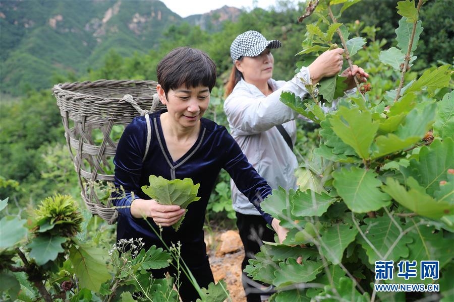 （新华全媒头条·走向我们的小康生活·图文互动）（7）长城脚下，小康村串成“珍珠链”