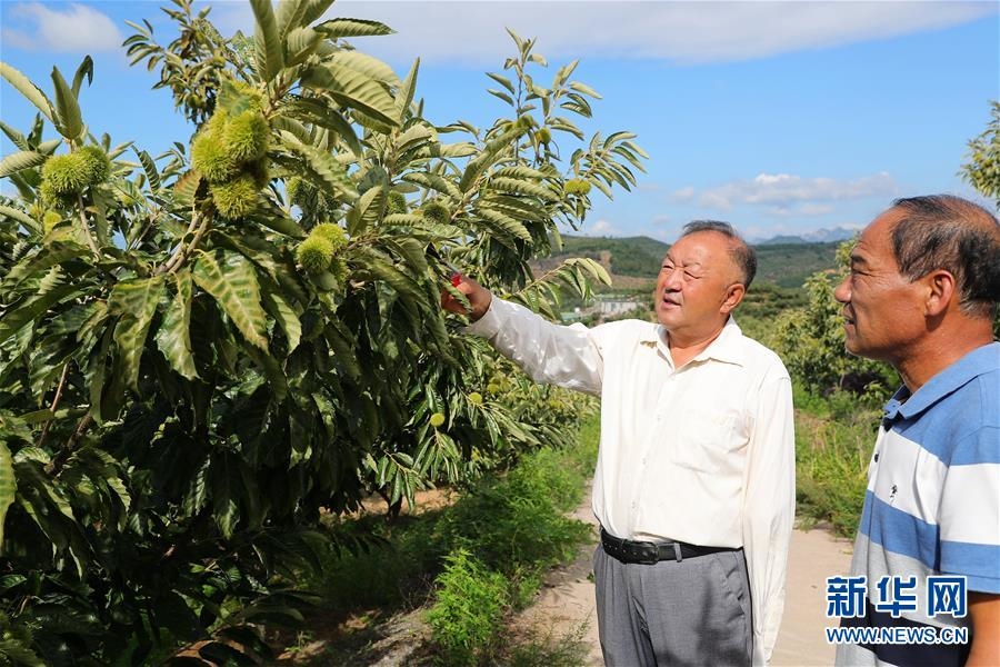 （新华全媒头条·走向我们的小康生活·图文互动）（11）长城脚下，小康村串成“珍珠链”